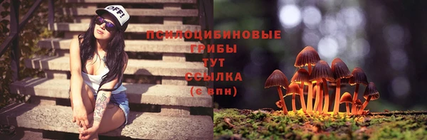 ECSTASY Елизово