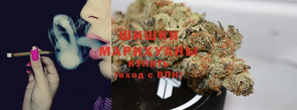 ECSTASY Елизово