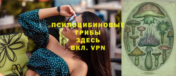 ECSTASY Елизово
