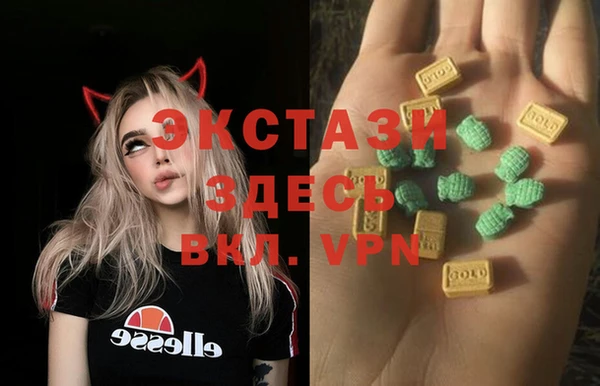 ECSTASY Елизово